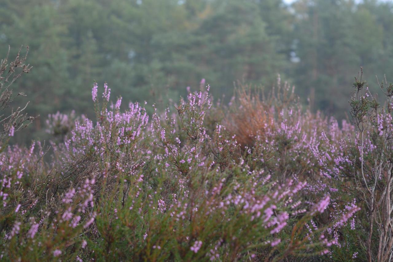 B&B De Loenense Bossen Eksteriør bilde
