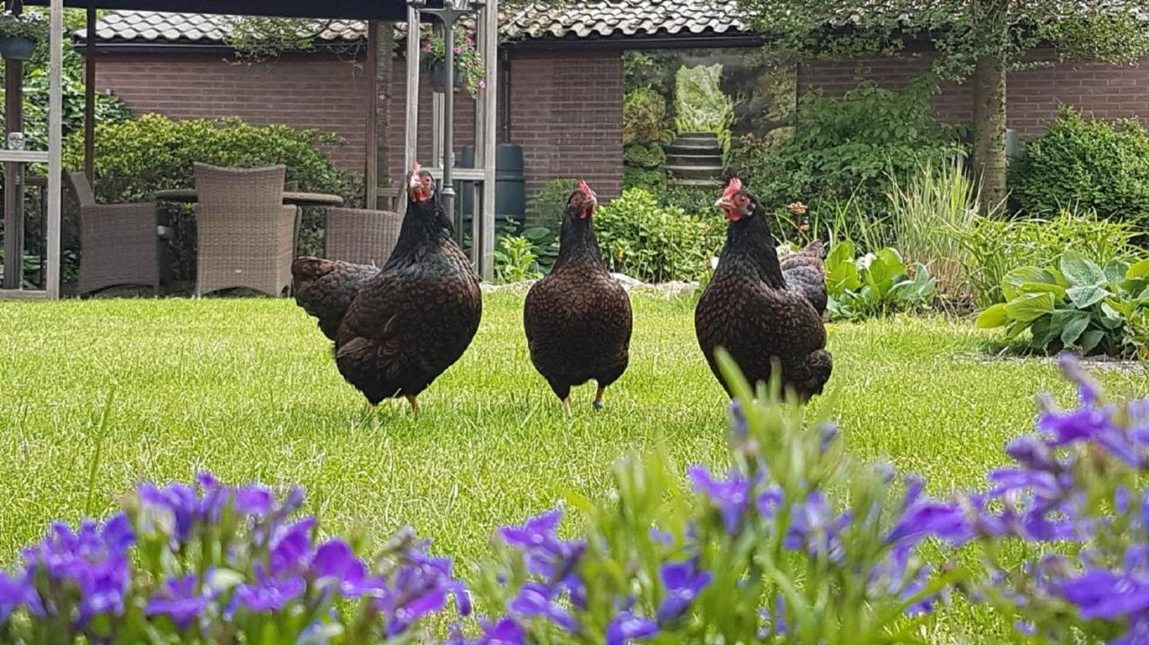 B&B De Loenense Bossen Eksteriør bilde